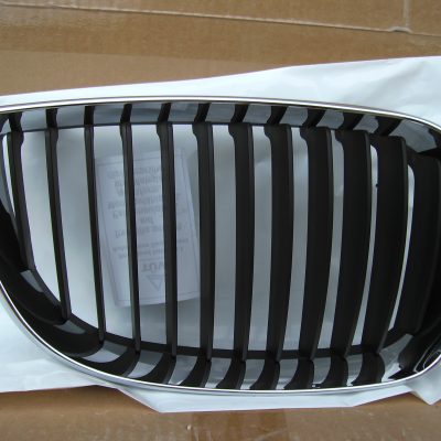 BMW E87 1 Ser. 2004-2011 NEW Grille RH